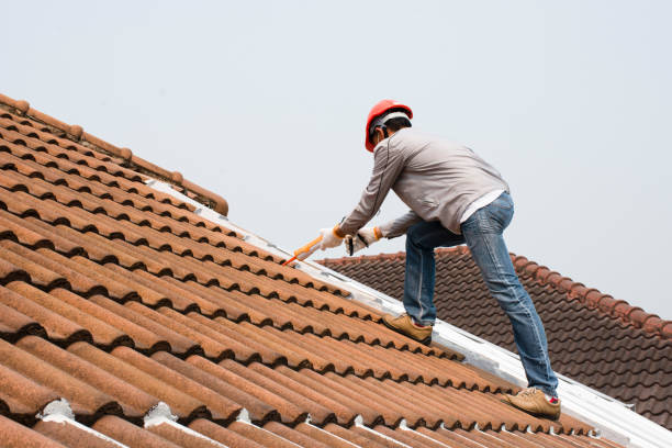 Best Metal Roofing Installation  in Larch Y, WA
